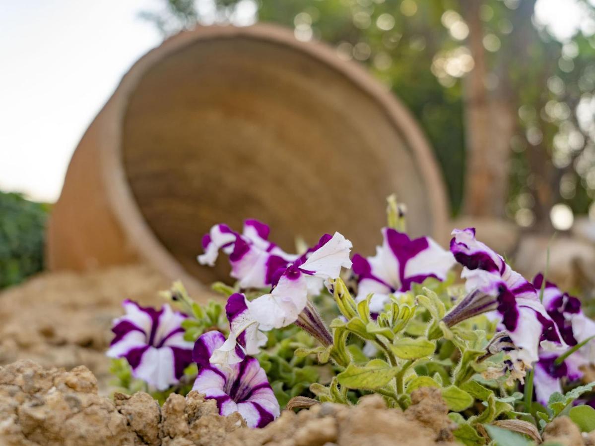 Vila Aggel'S House - Stone House - Private Pool - Courtyard - Countryside Views Kato Episkopi Exteriér fotografie