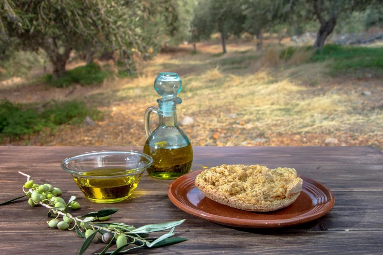 Vila Aggel'S House - Stone House - Private Pool - Courtyard - Countryside Views Kato Episkopi Exteriér fotografie