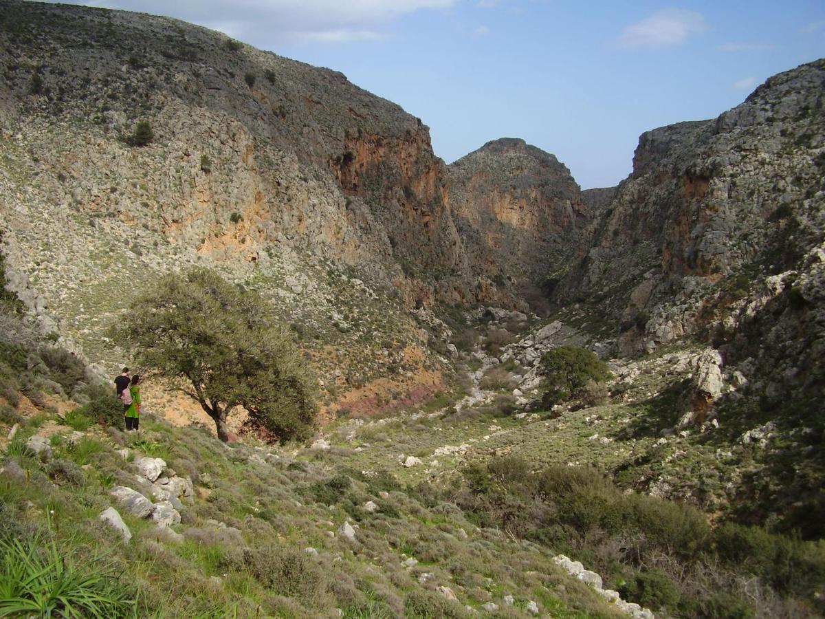 Vila Aggel'S House - Stone House - Private Pool - Courtyard - Countryside Views Kato Episkopi Exteriér fotografie
